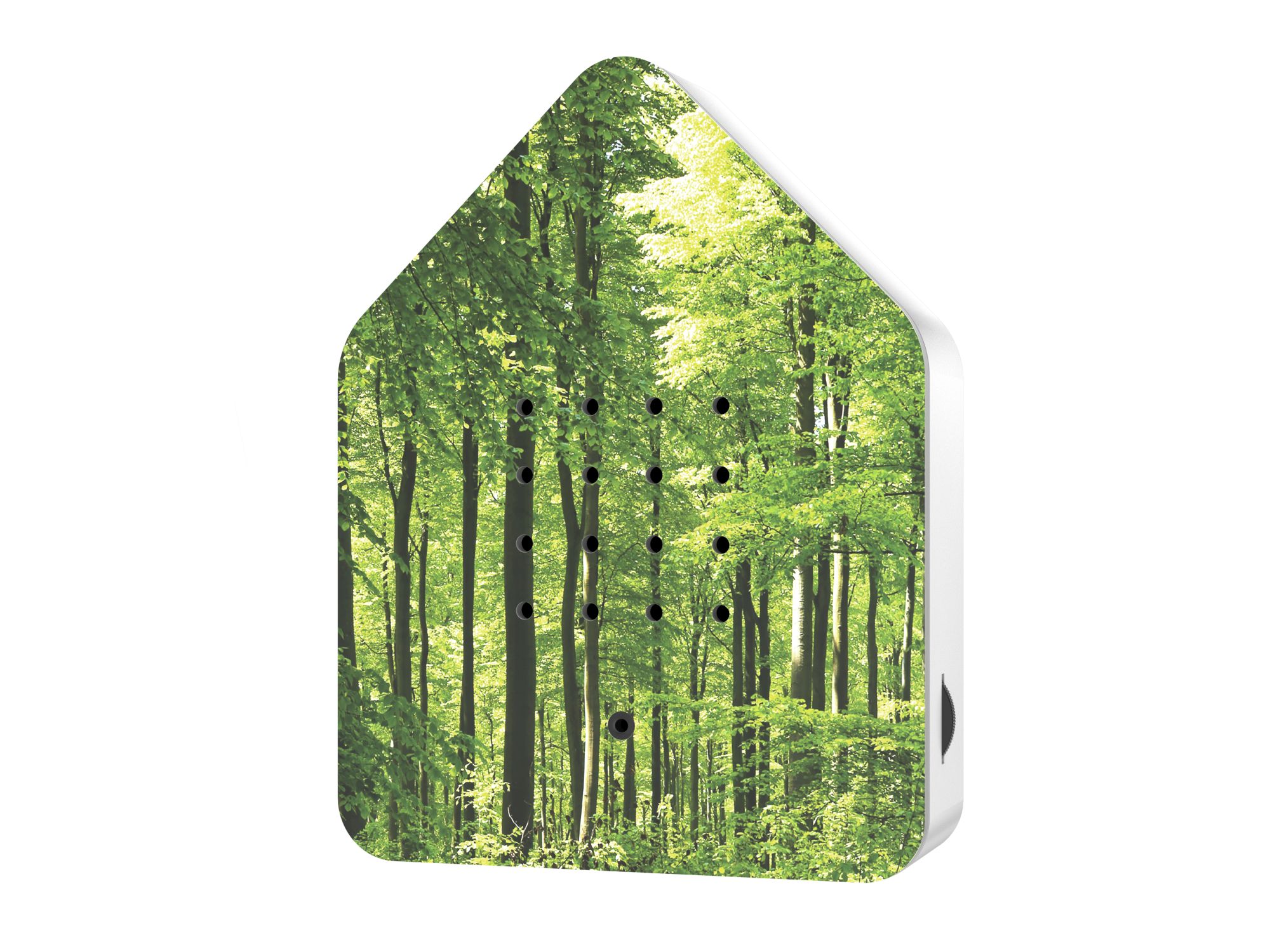 #UnserTipp Zwitscherbox "Wald"